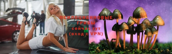 jwh Аркадак