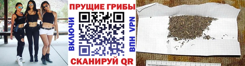 купить наркотики цена Динская Псилоцибиновые грибы мухоморы
